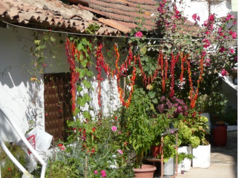Sirinçe