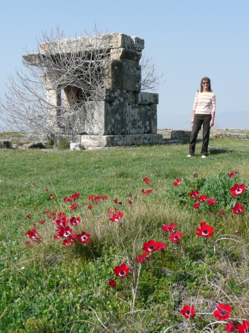 Tombeau parmi les fleurs (Fanfan et anémones !